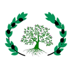 صورة